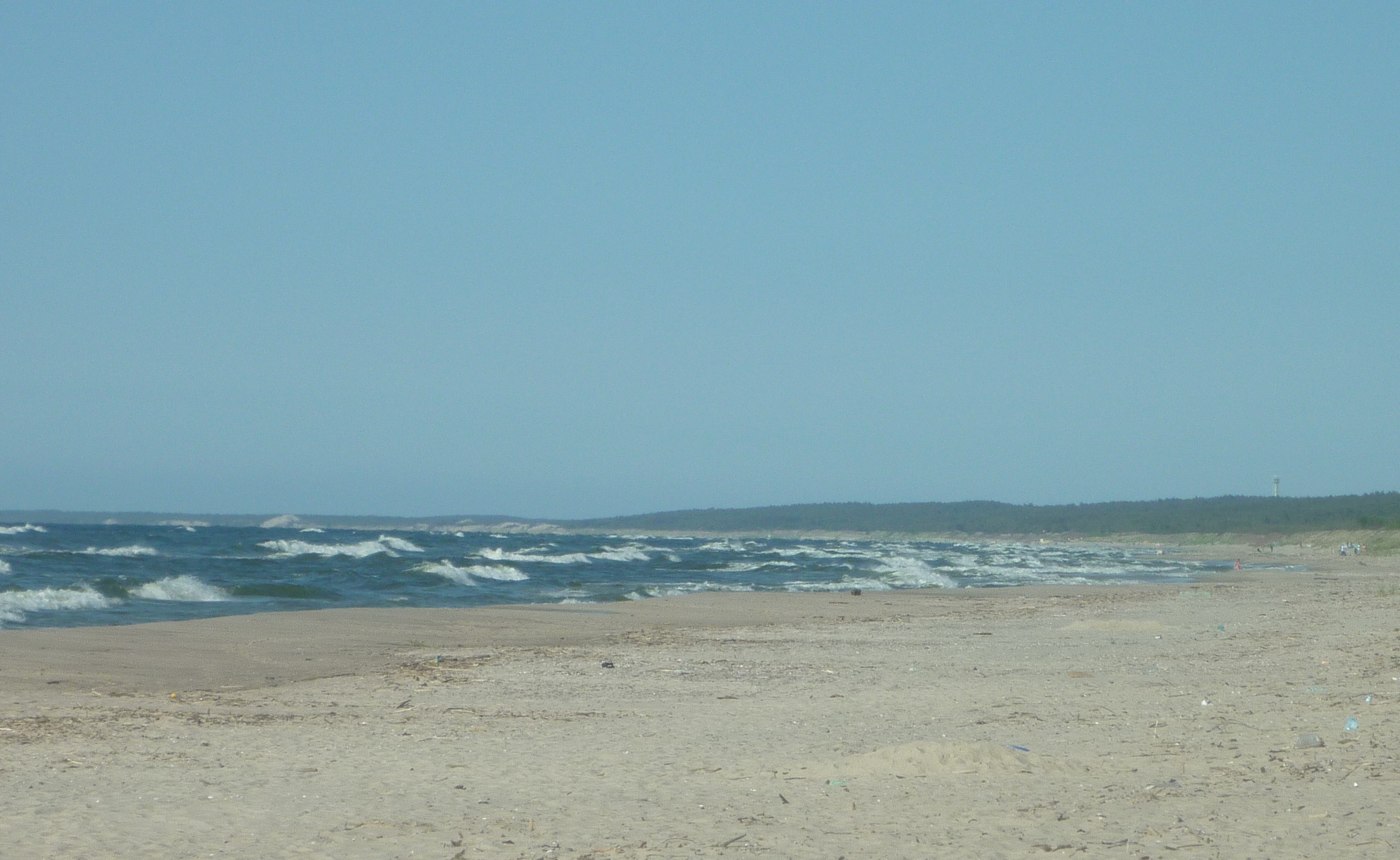 auf dem frischen Haff - nicht weit am Wasser entlang, die Grenze zu Russland / Kaliningrad