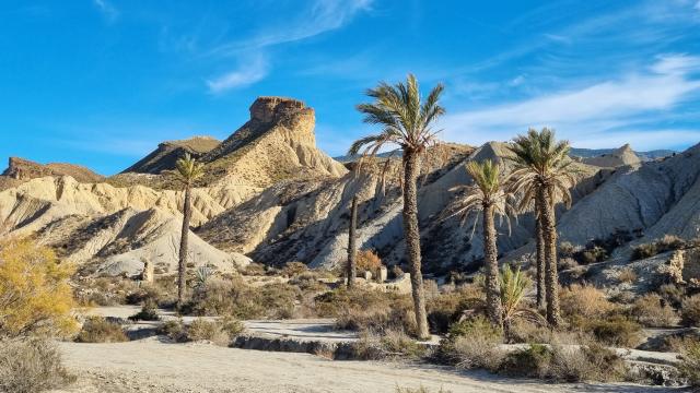 Tabernas Halbwüste