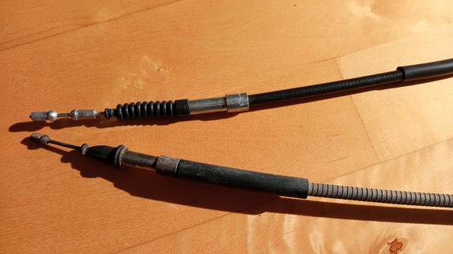 IMG_20251023_124950_004